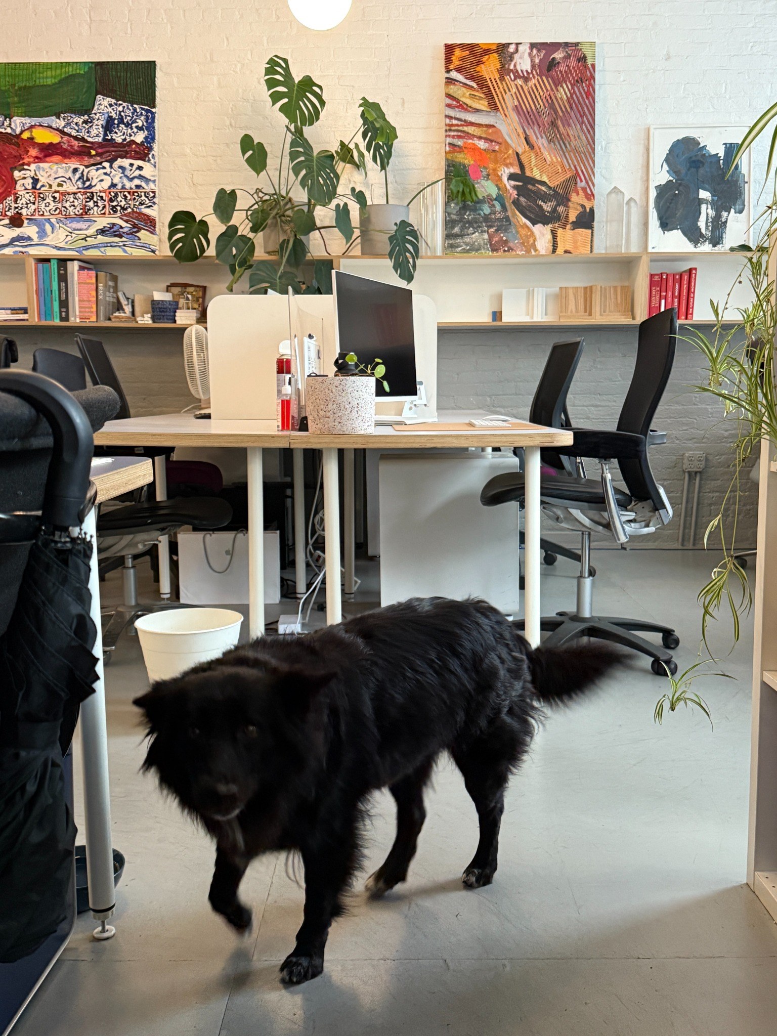 Ludo in the workshop